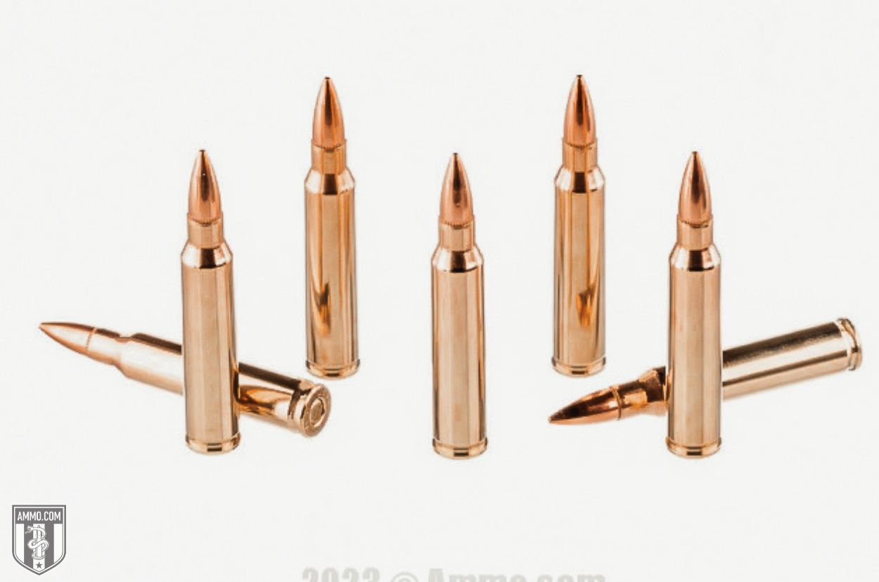 223 Remington Ammo