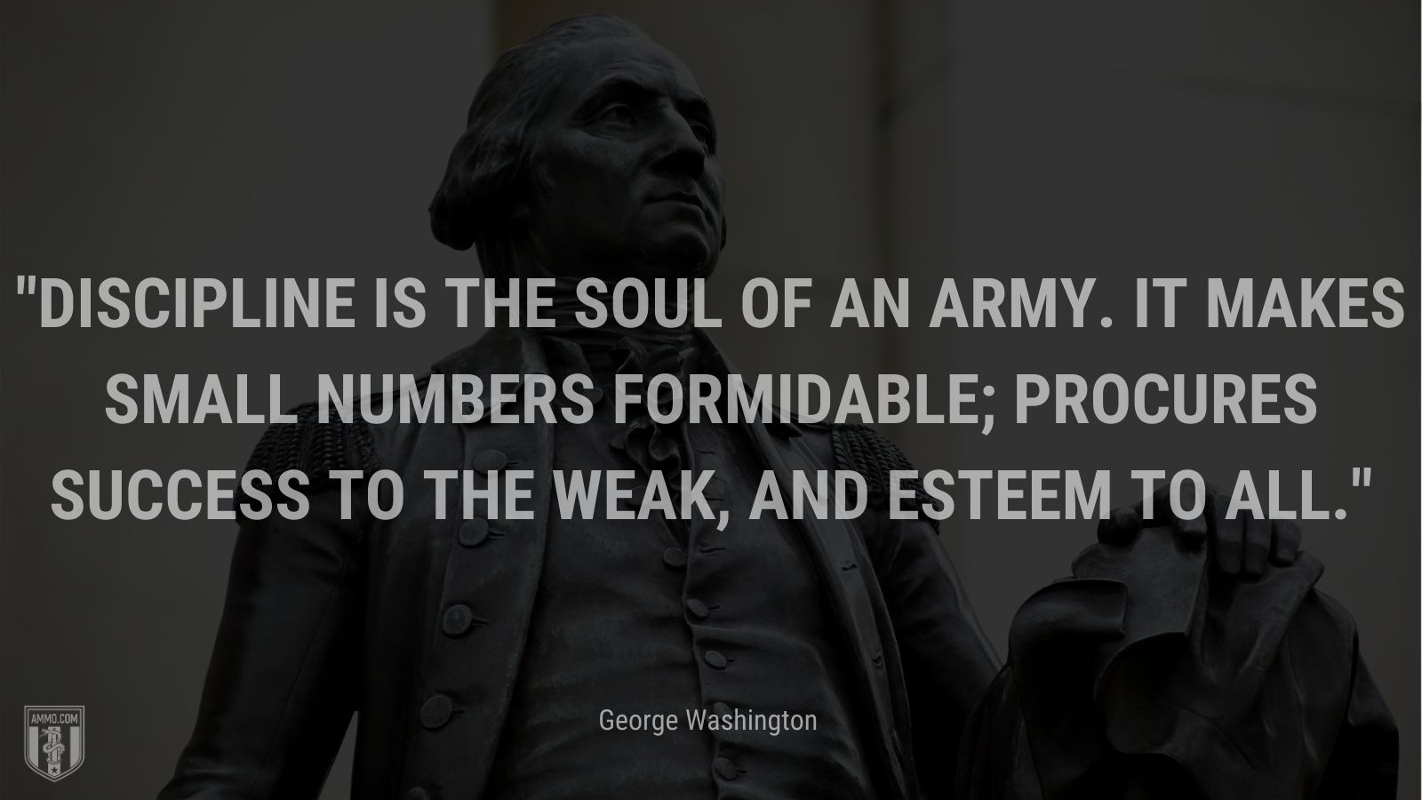 “Discipline is the soul of an army. It makes small numbers formidable; procures success to the weak, and esteem to all.” - George Washington