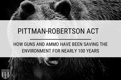 How Guns and Ammo have been Saving the Environment for Nearly 100 Years