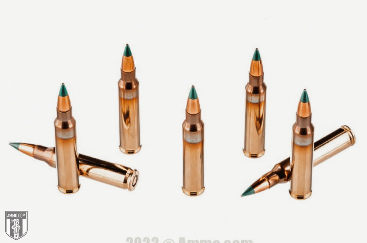 PMC X-TAC 5.56x45 62 Grain Ammo