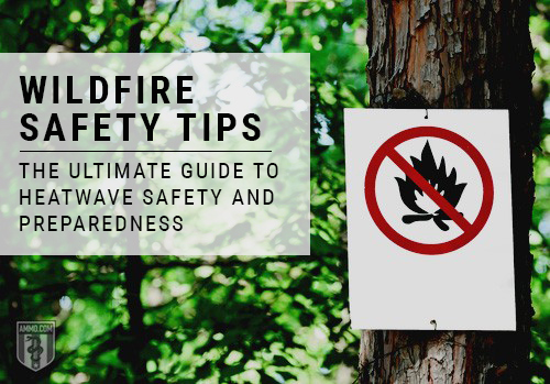 Wildfire Preparedness: A Heatwave Safety Guide