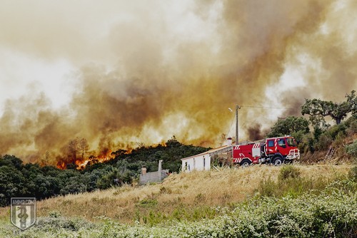 Wildfire Preparedness: A Heatwave Safety Guide