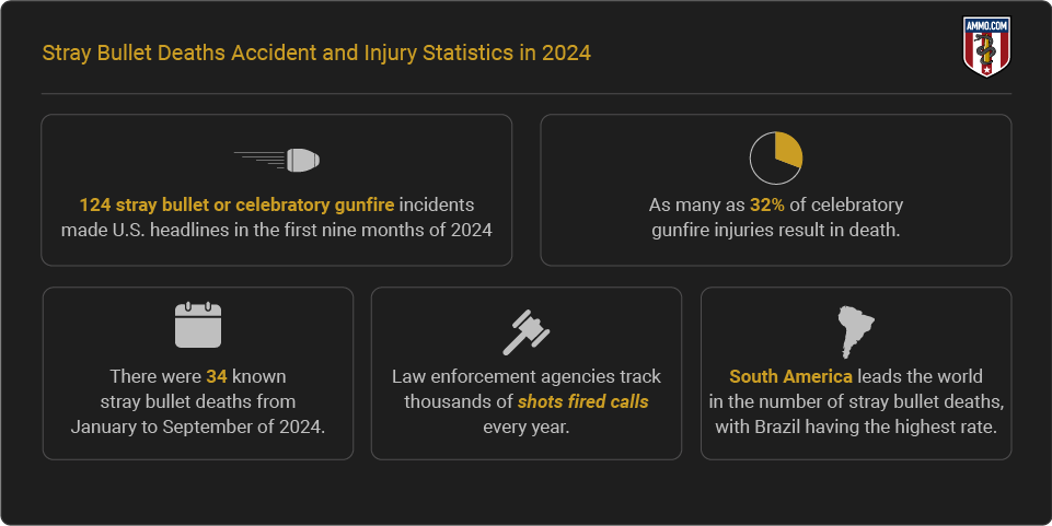 Report Highlights - Stray Bullet Deaths in the US