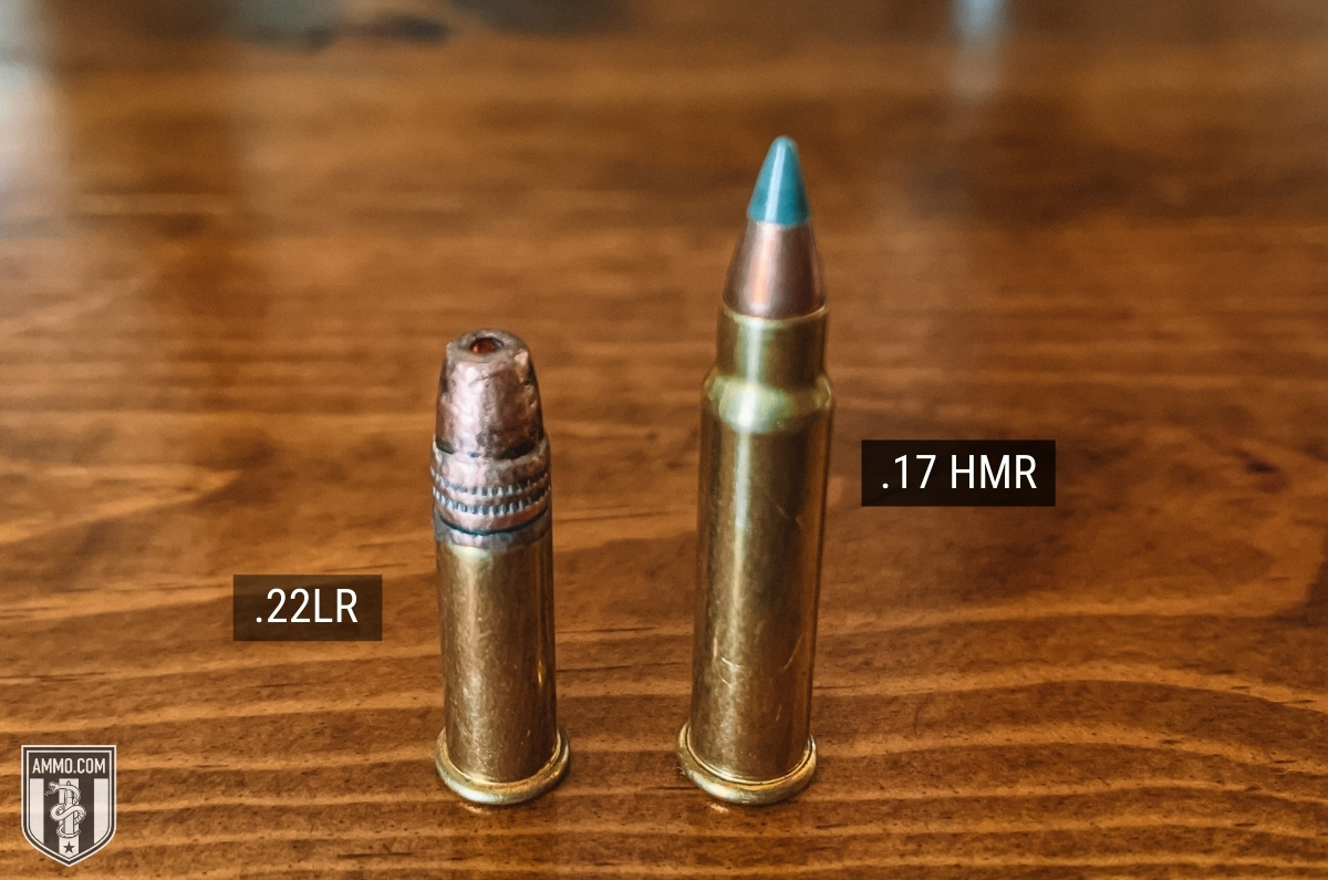 popular rimfire ammo