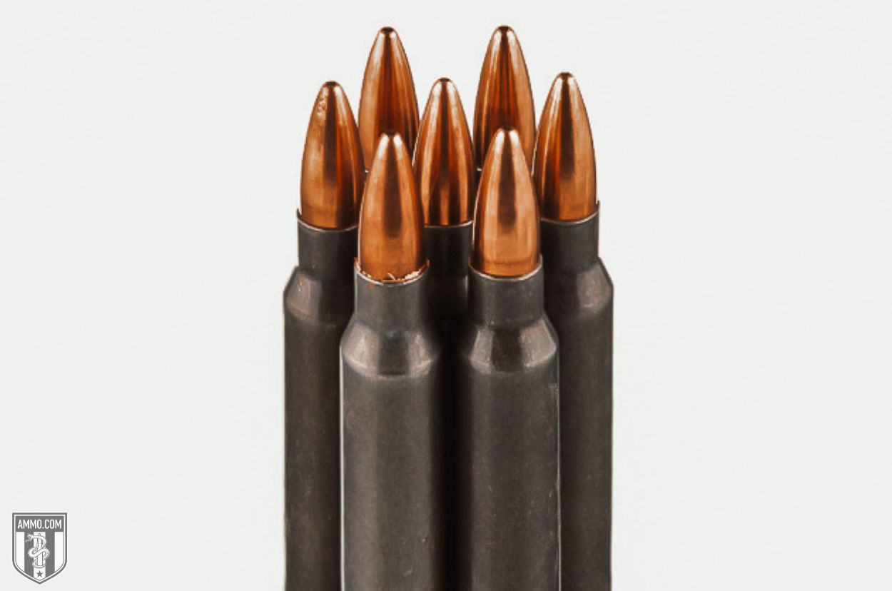 223 Remington ammo
