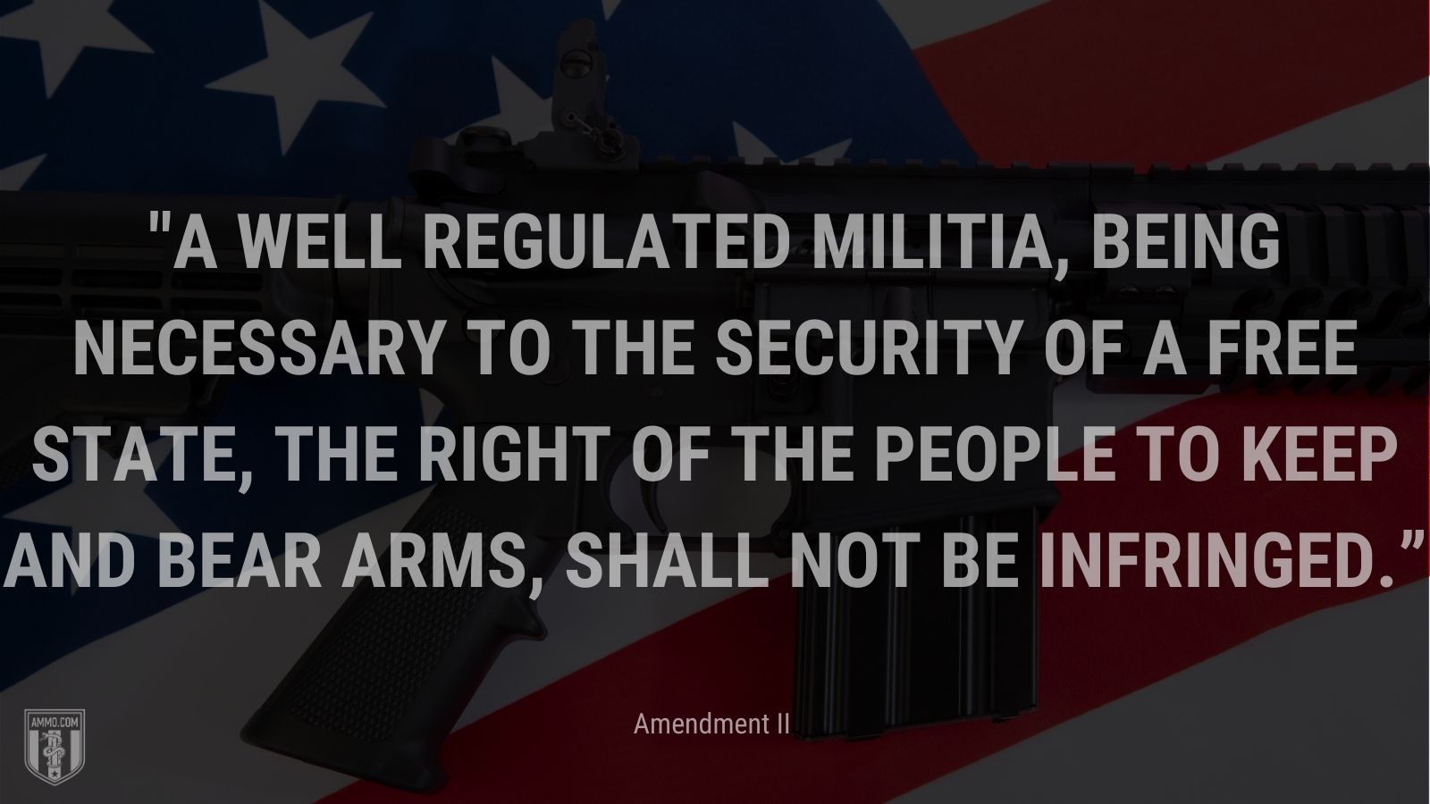 “A well regulated Militia, being necessary to the security of a free State, the right of the people to keep and bear Arms, shall not be infringed.” - Amendment II