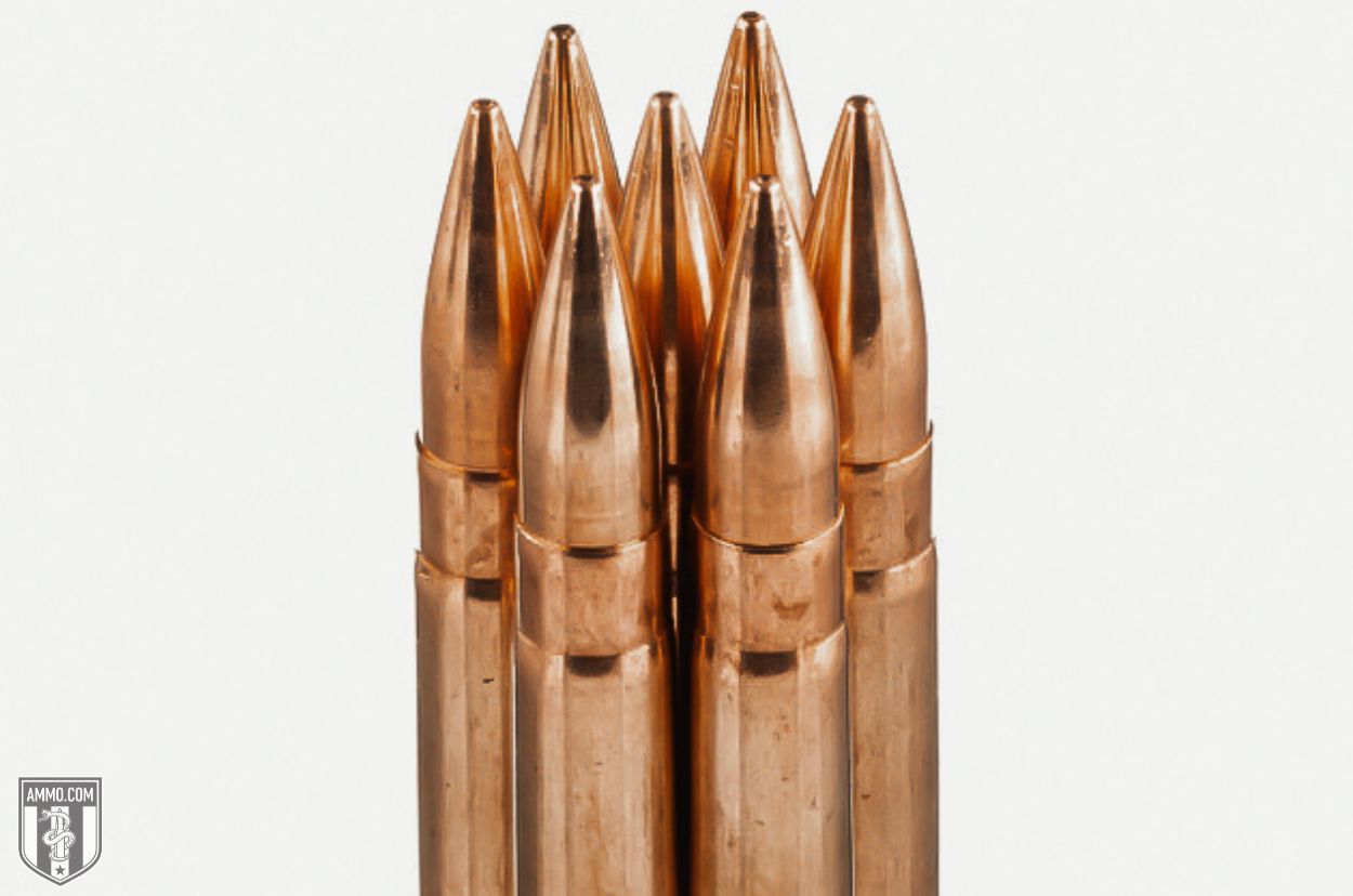 Sellier and Bellot 300 Blackout Subsonic Ammo