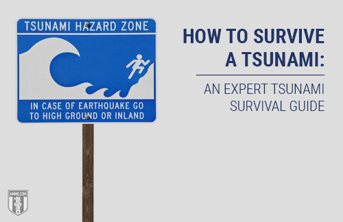 Tsunami Preparedness: A Seismic Wave Survival Guide