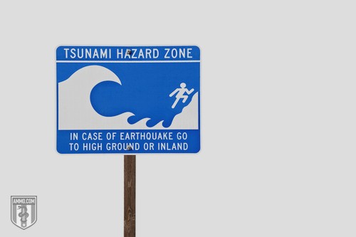 Tsunami