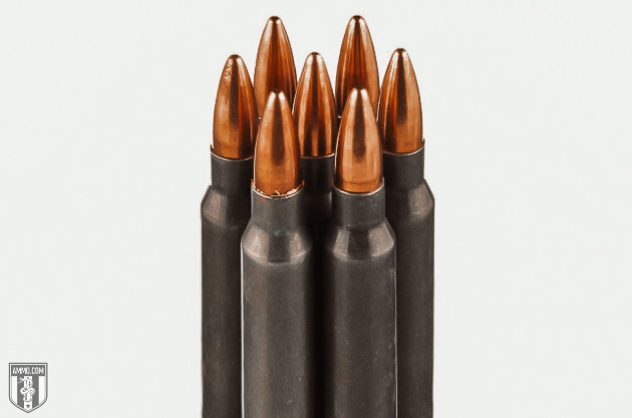 223 Rem ammo