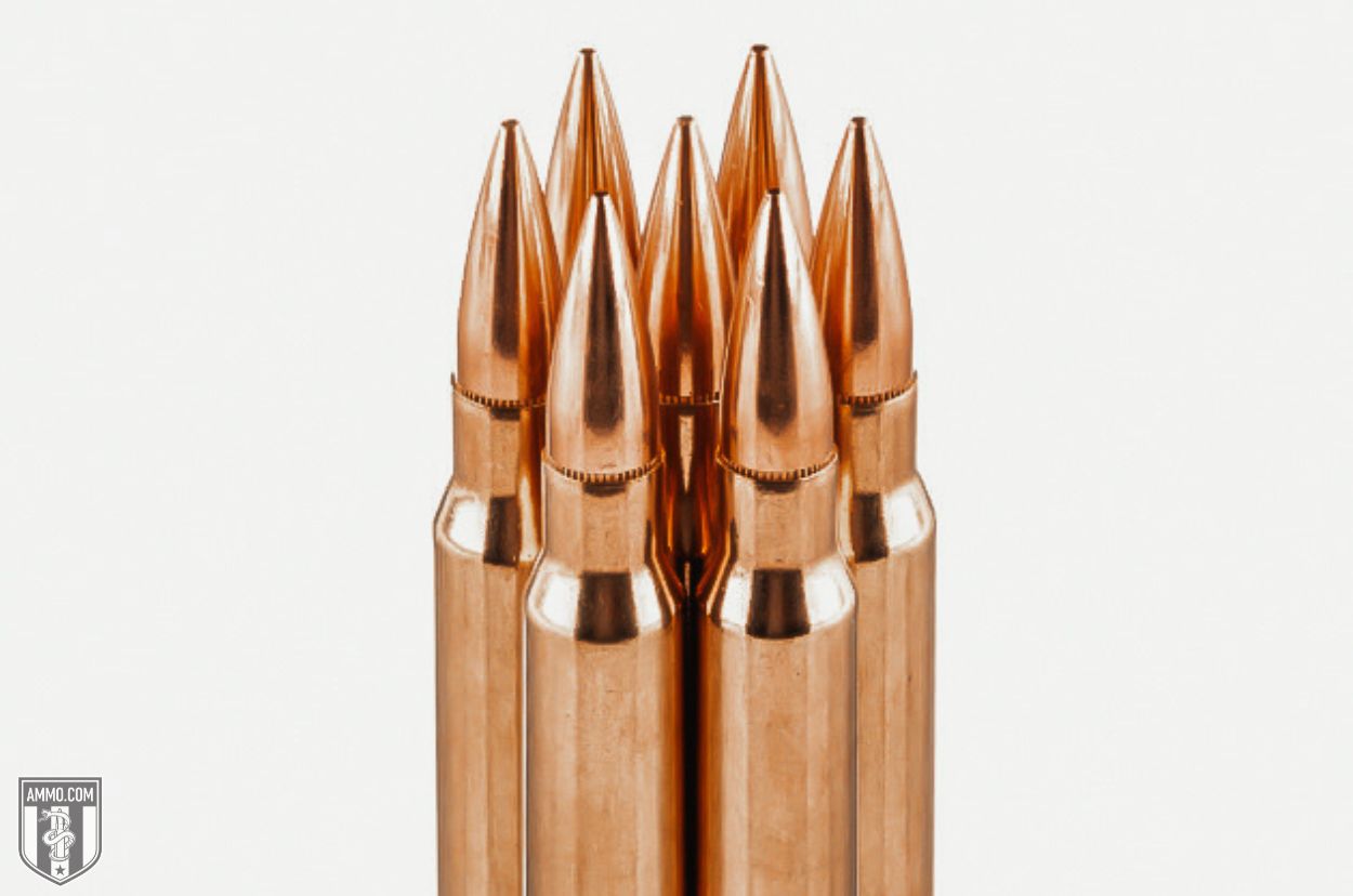 308 Winchester ammo