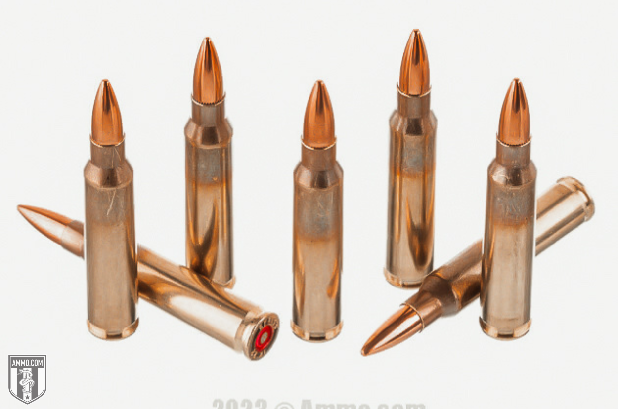 Zinc Point Ammo Review