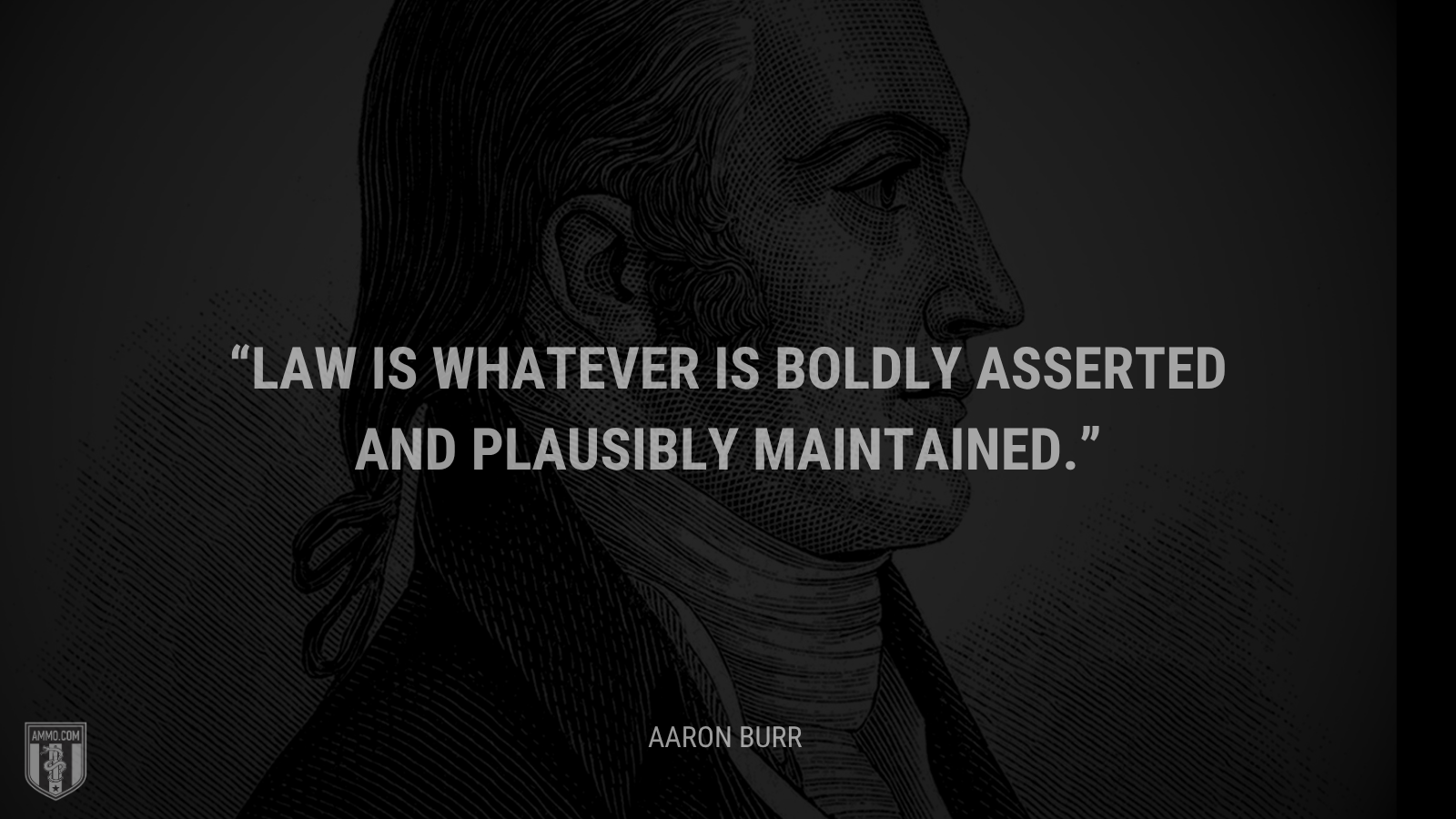 &ldquo;Law is whatever is boldly asserted and plausibly maintained.&rdquo; - Aaron Burr