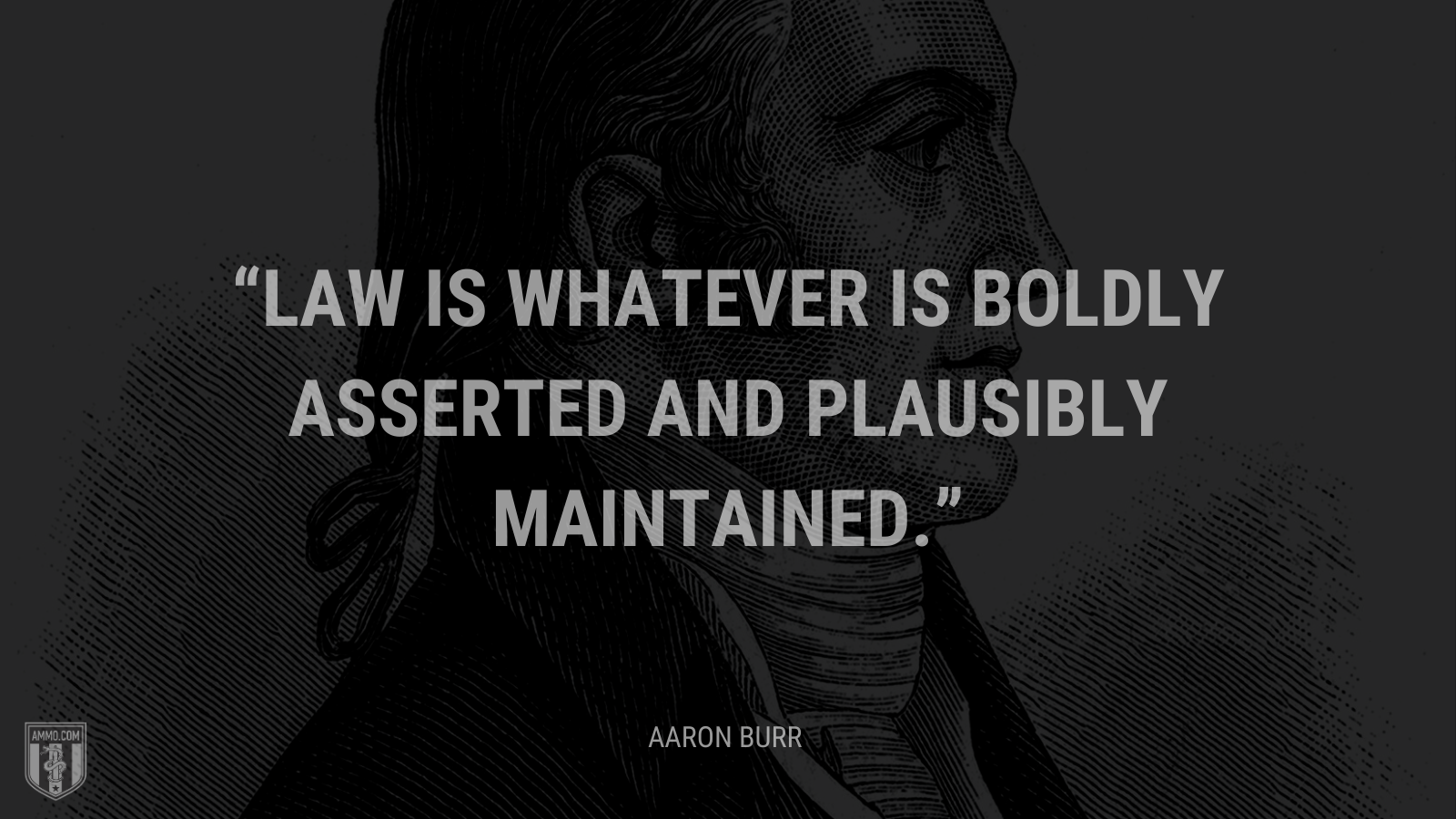 &ldquo;Law is whatever is boldly asserted and plausibly maintained.&rdquo; - Aaron Burr