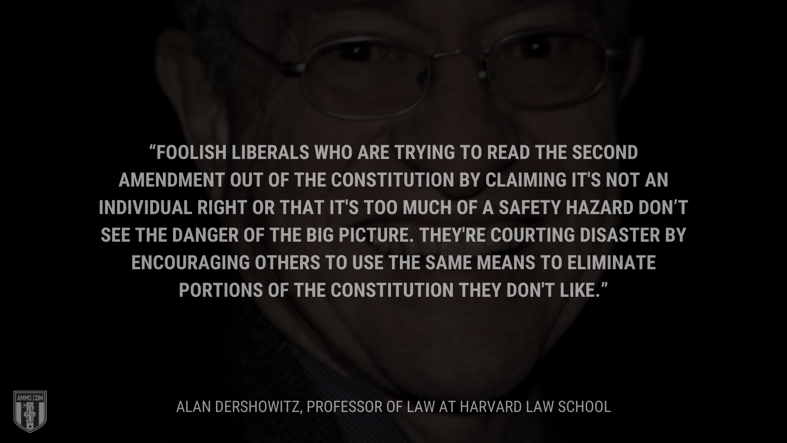 &ldquo;Foolish liberals who are trying to read the Second Amendment out of the Constitution by claiming it's not an individual right or that it's too much of a safety hazard don’t see the danger of the big picture. They're courting disaster by encouraging others to use the same means to eliminate portions of the Constitution they don't like.&rdquo; - Alan Dershowitz