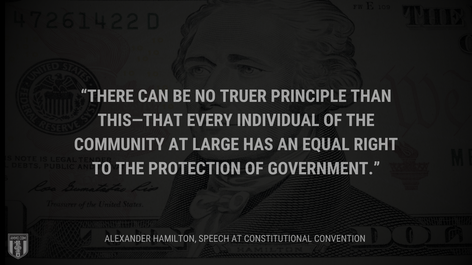 &ldquo;There can be no truer principle than this—that every individual of the community at large has an equal right to the protection of government.&rdquo; - Alexander Hamilton