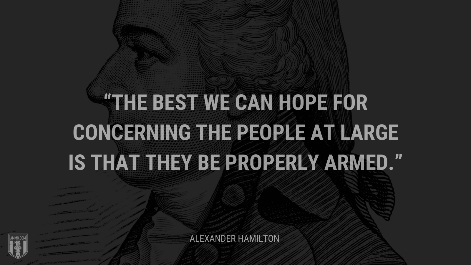 &ldquo;The best we can hope for concerning the people at large is that they be properly armed.&rdquo; - Alexander Hamilton