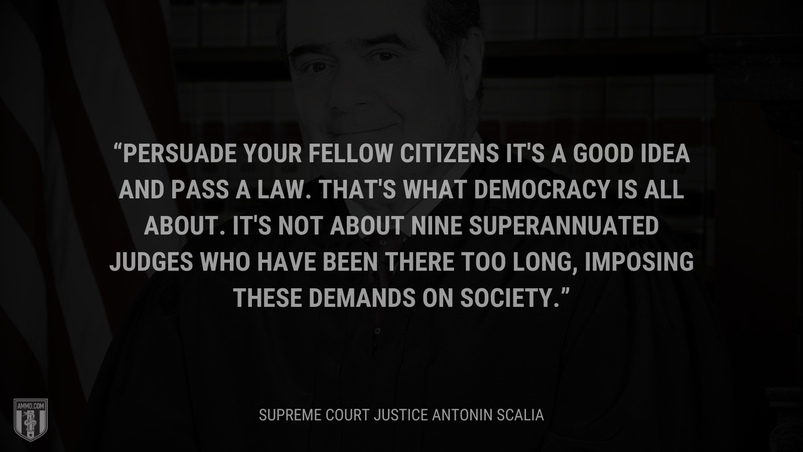 &ldquo;Persuade your fellow citizens it's a good idea and pass a law. That's what democracy is all about. It's not about nine superannuated judges who have been there too long, imposing these demands on society.&rdquo; - Antonin Scalia