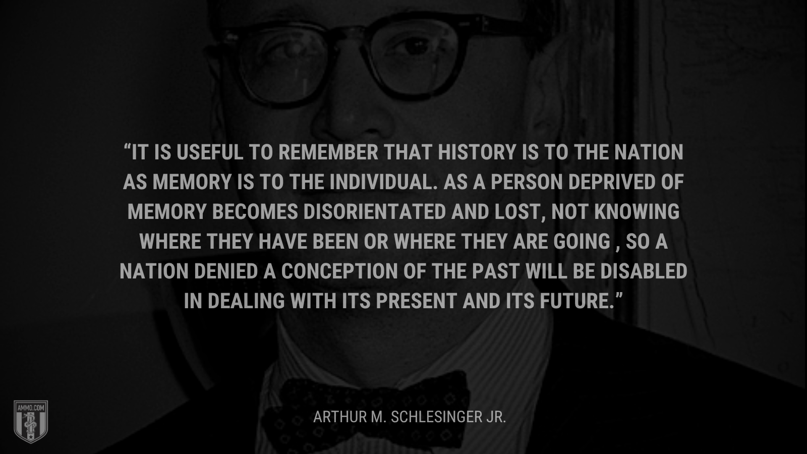 &ldquo;It is useful to remember that history is to the nation as memory is to the individual. As a person deprived of memory becomes disorientated and lost, not knowing where they have been or where they are going , so a nation denied a conception of the past will be disabled in dealing with its present and its future.&rdquo; - Arthur M. Schlesinger Jr .
