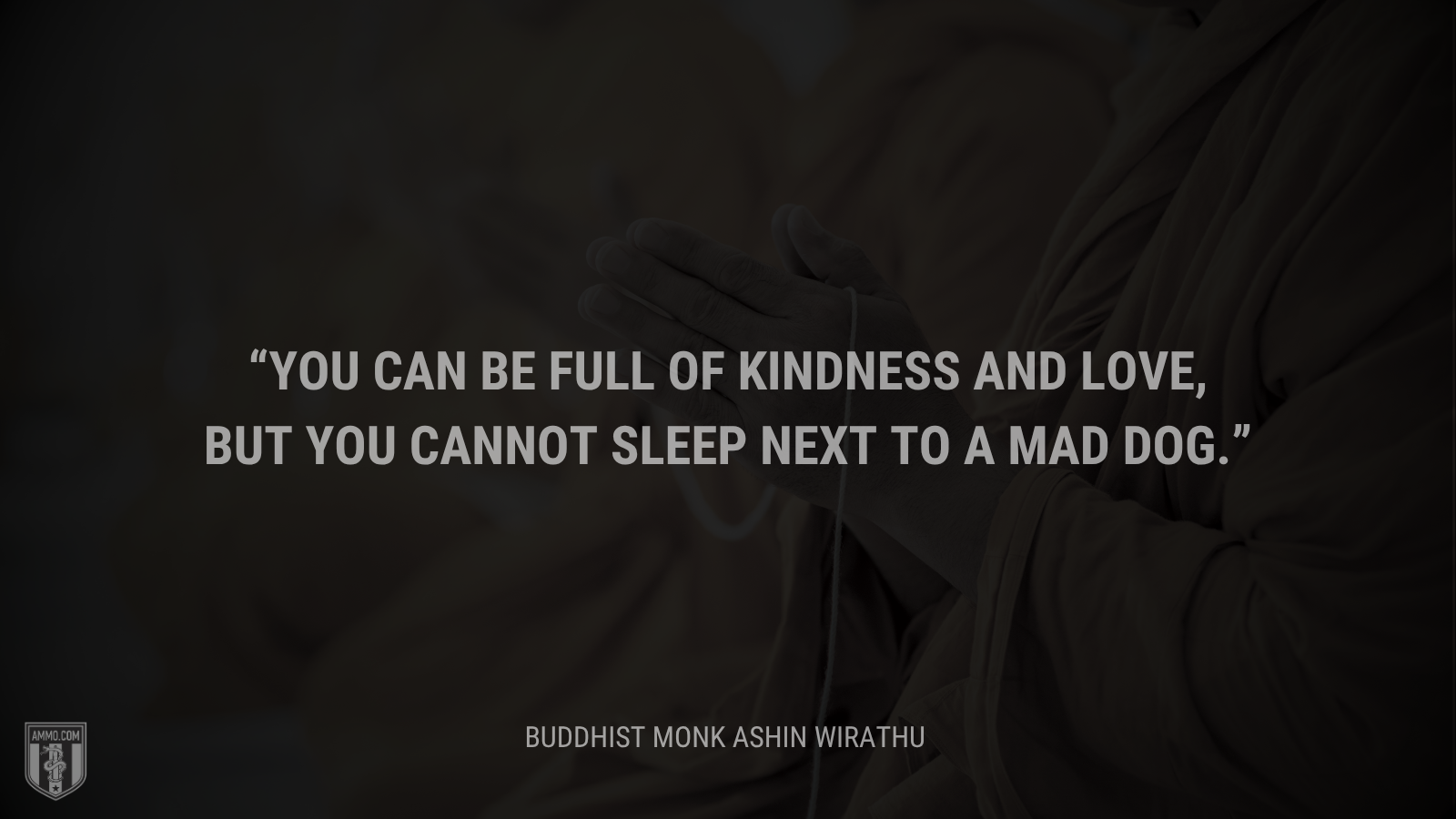 &ldquo;You can be full of kindness and love, but you cannot sleep next to a mad dog.&rdquo; - Ashin Wirathu