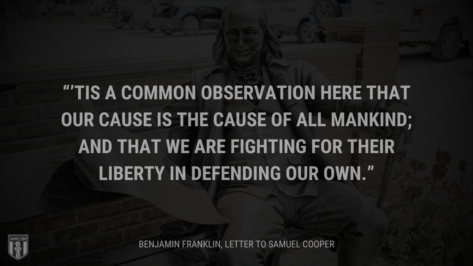 &ldquo;’Tis a Common Observation here that our Cause is the Cause of all Mankind; and that we are fighting for their Liberty in defending our own.&rdquo; - Benjamin Franklin