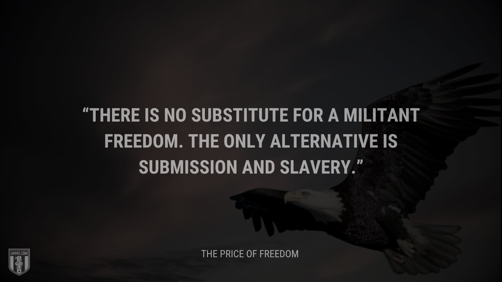 &ldquo;There is no substitute for a militant freedom. The only alternative is submission and slavery.&rdquo; - Calvin Coolidge
