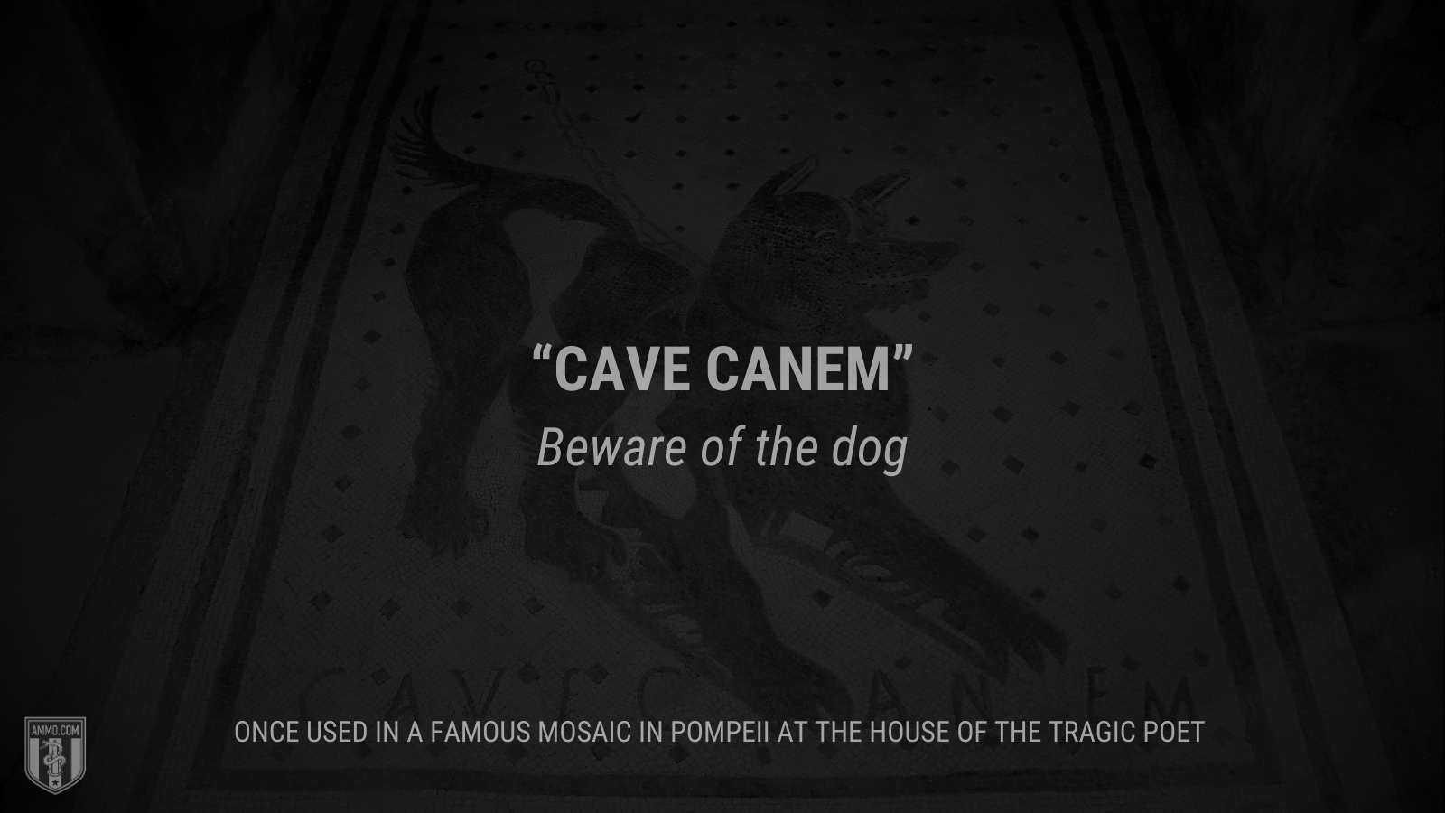 &ldquo;Cave Canem&rdquo; - Beware of the dog