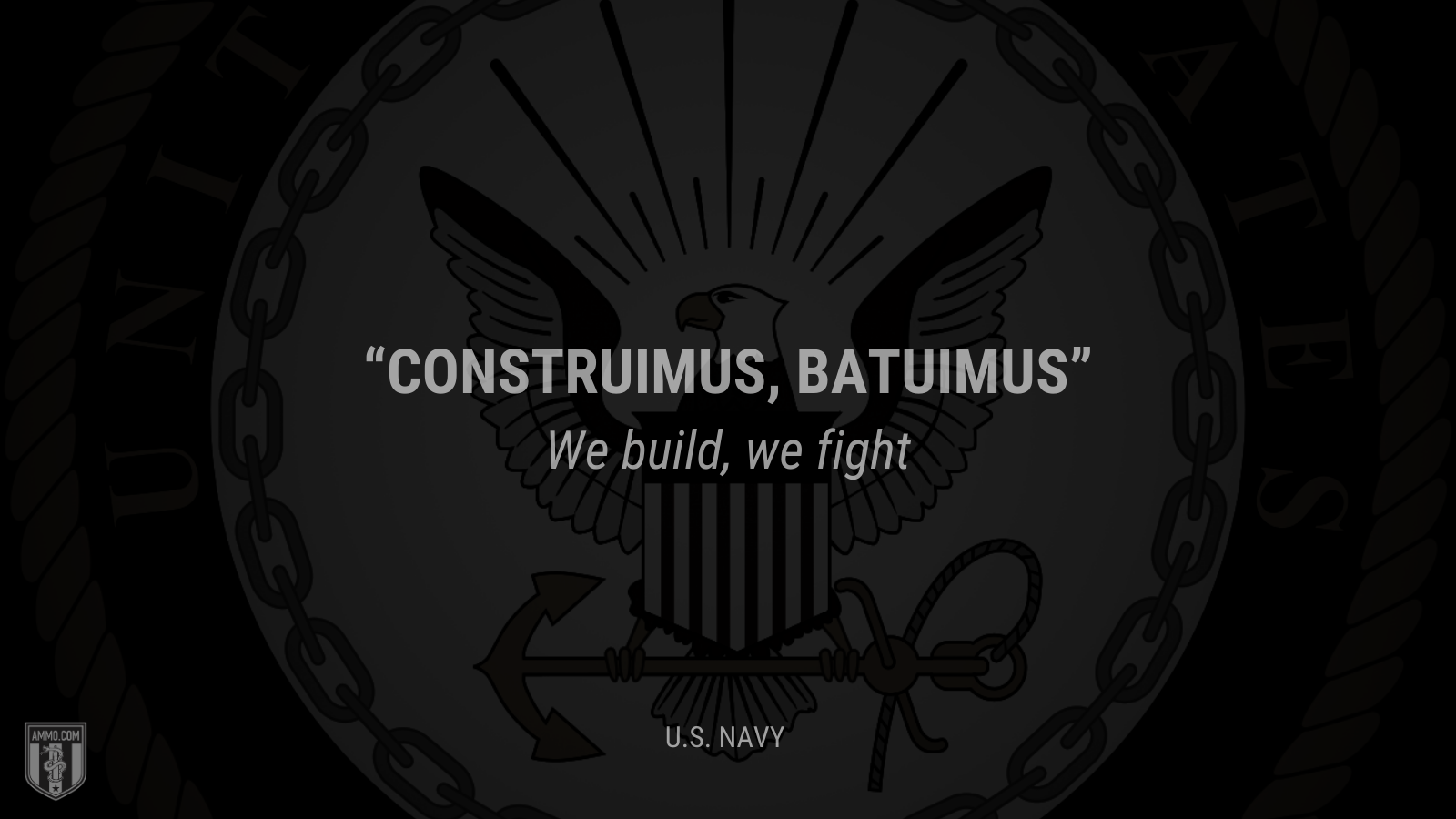 &ldquo;Construimus, batuimus&rdquo; - We build, we fight