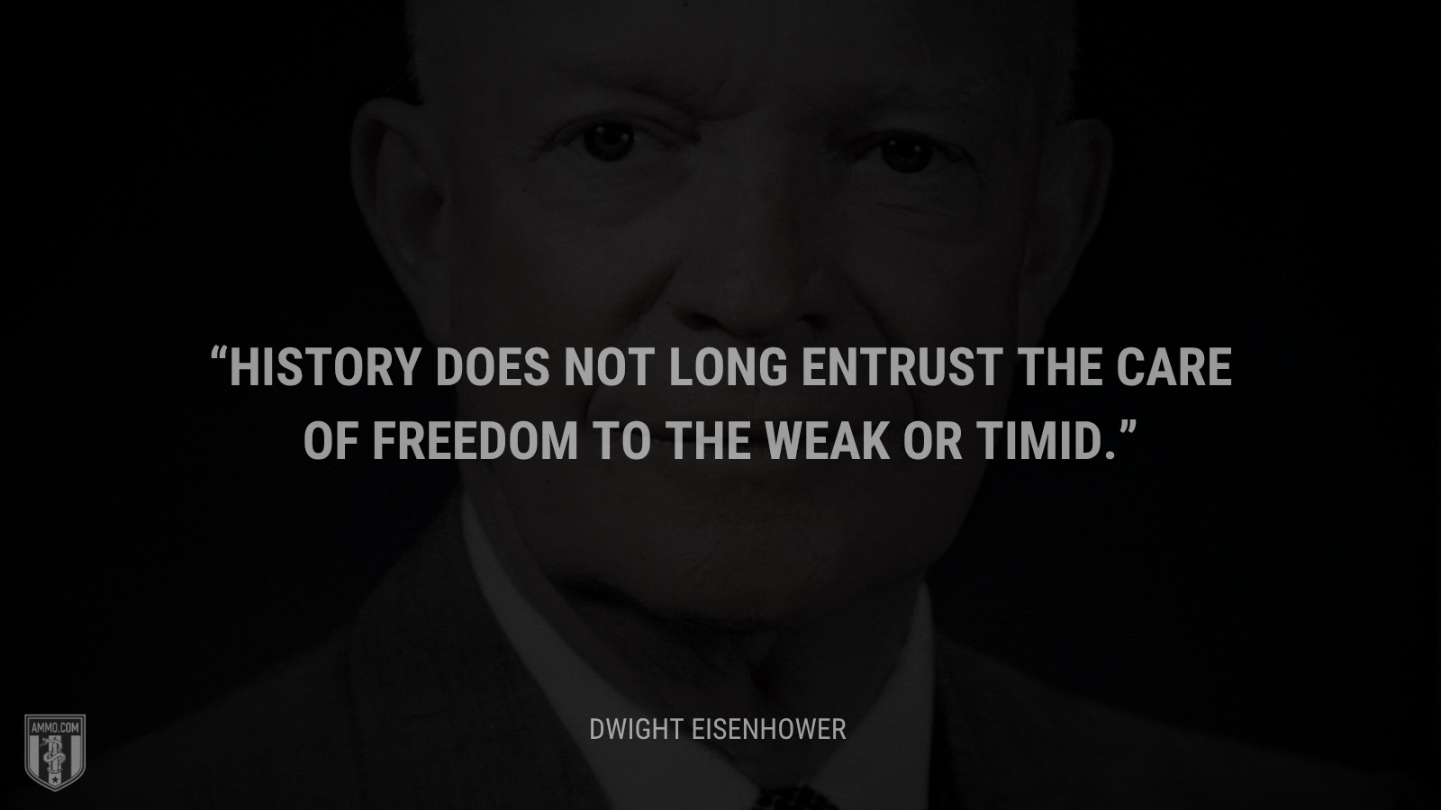 &ldquo;History does not long entrust the care of freedom to the weak or timid.&rdquo; - Dwight Eisenhower