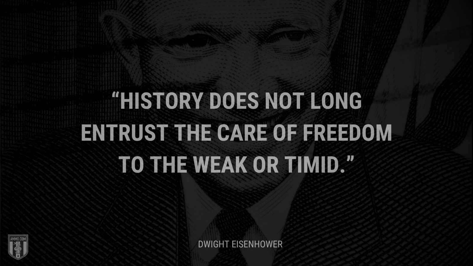 &ldquo;History does not long entrust the care of freedom to the weak or timid.&rdquo; - Dwight Eisenhower