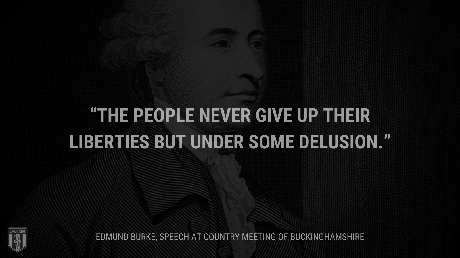 &ldquo;The people never give up their liberties but under some delusion.&rdquo; - Edmund Burke
