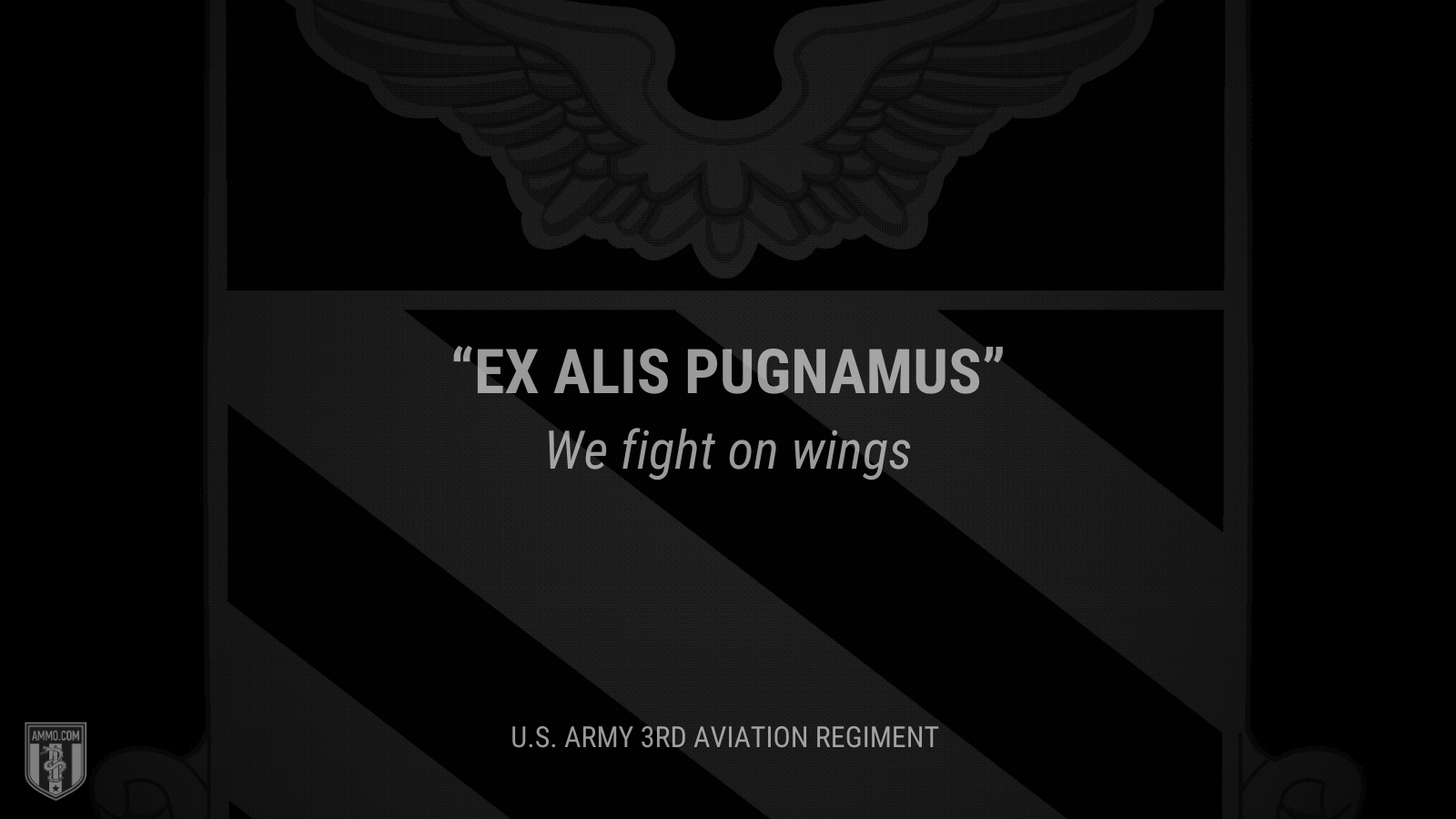 &ldquo;Ex alis pugnamus&rdquo; - We fight on wings