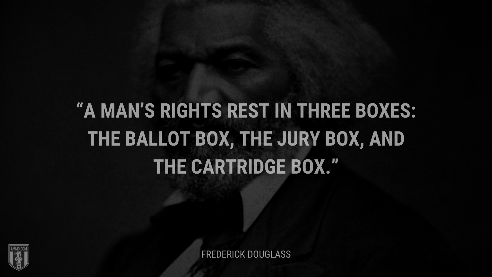 &ldquo;A man’s rights rest in three boxes: the ballot box, the jury box, and the cartridge box.&rdquo; - Frederick Douglass