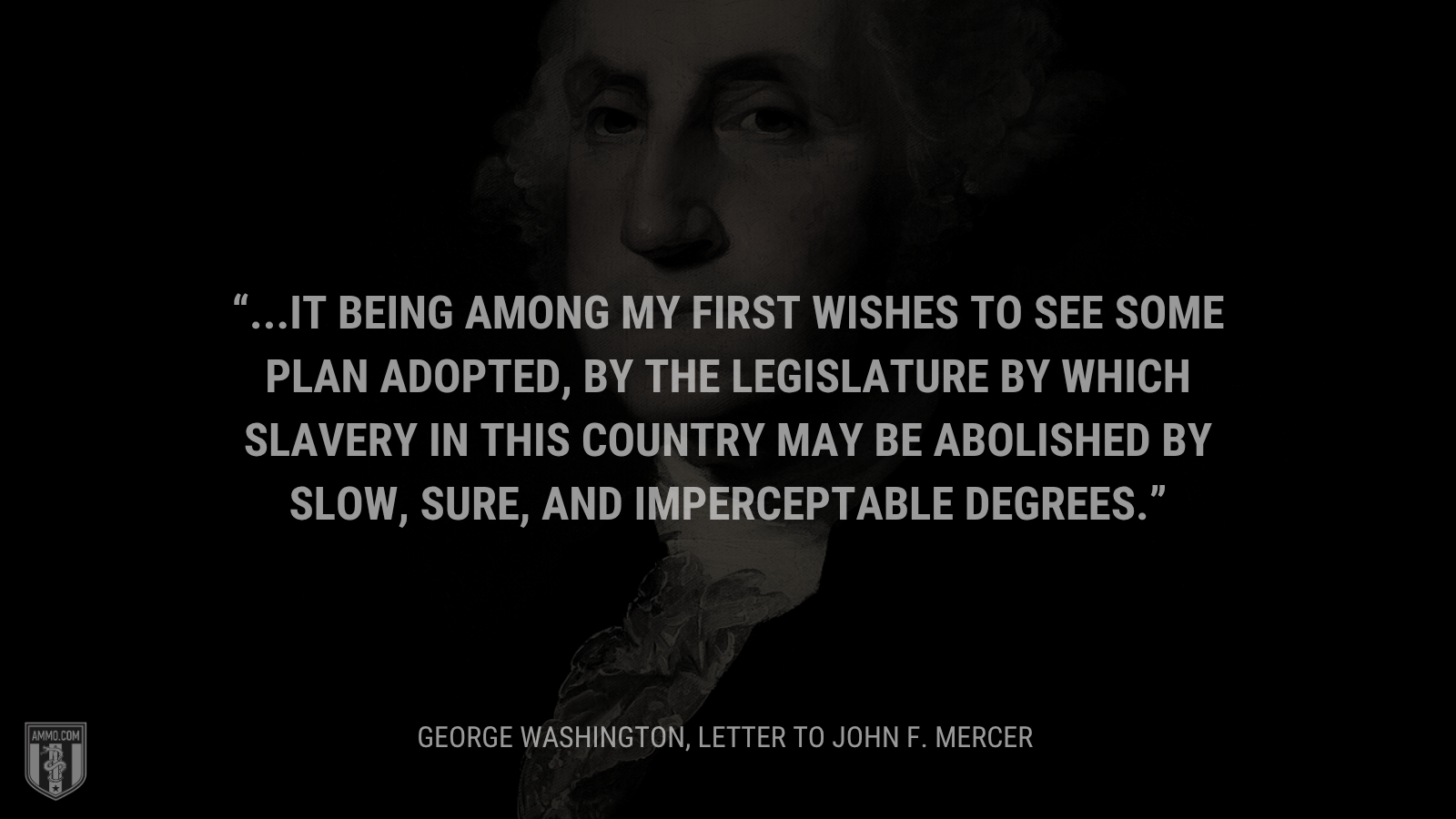 &ldquo;...it being among my first wishes to see some plan adopted, by the legislature by which slavery in this Country may be abolished by slow, sure, and imperceptable degrees.&rdquo; - George Washington