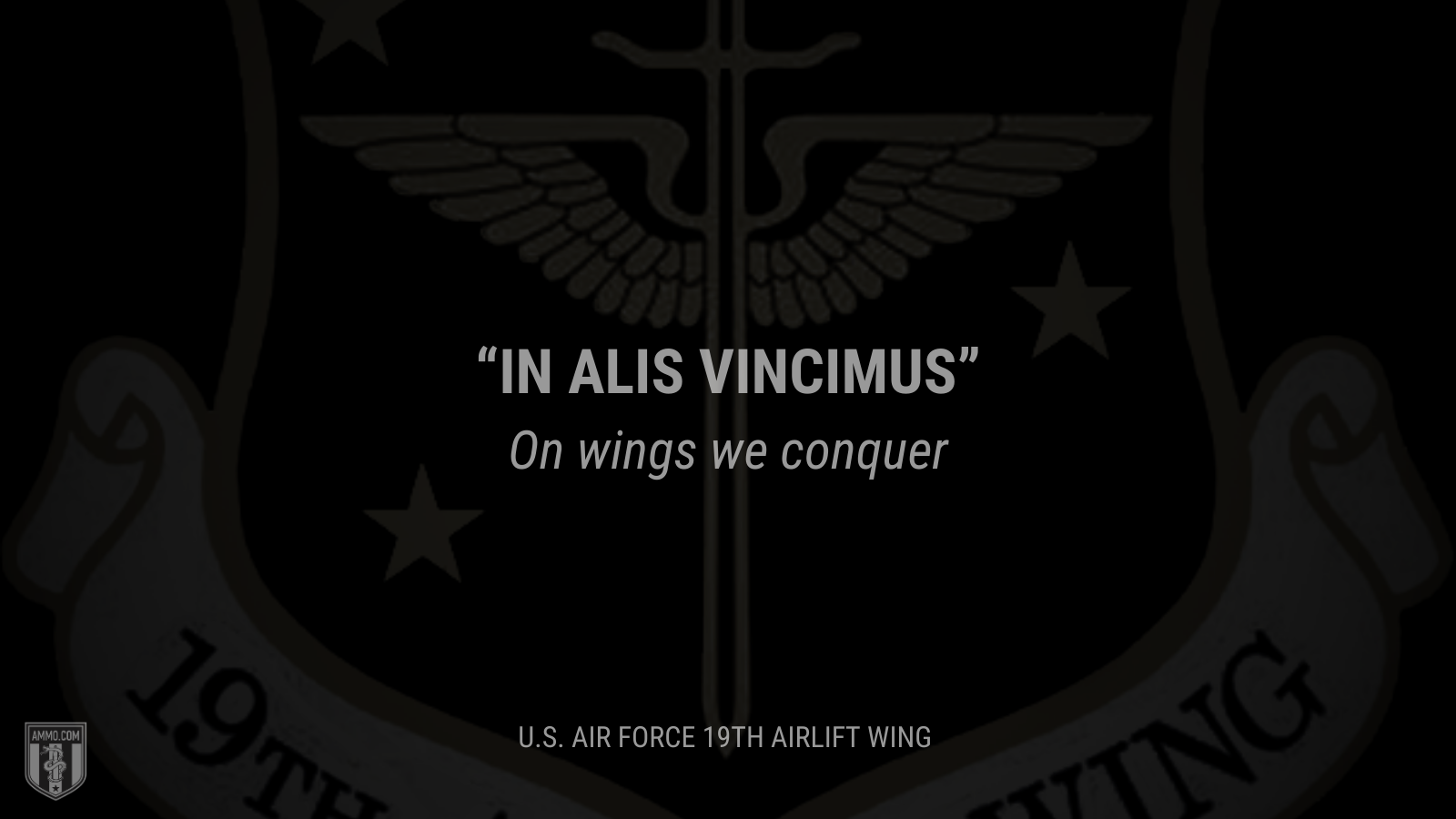 &ldquo;In alis vincimus&rdquo; - On wings we conquer