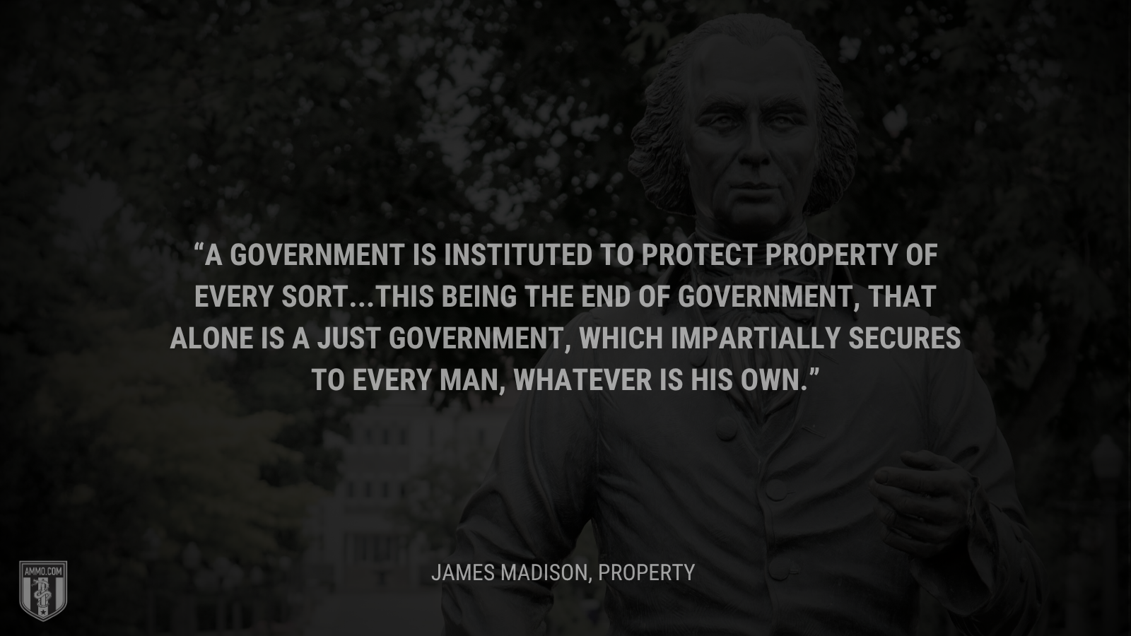 &ldquo;A Government is instituted to protect property of every sort...This being the end of government, that alone is a just government, which impartially secures to every man, whatever is his own.&rdquo; - James Madison