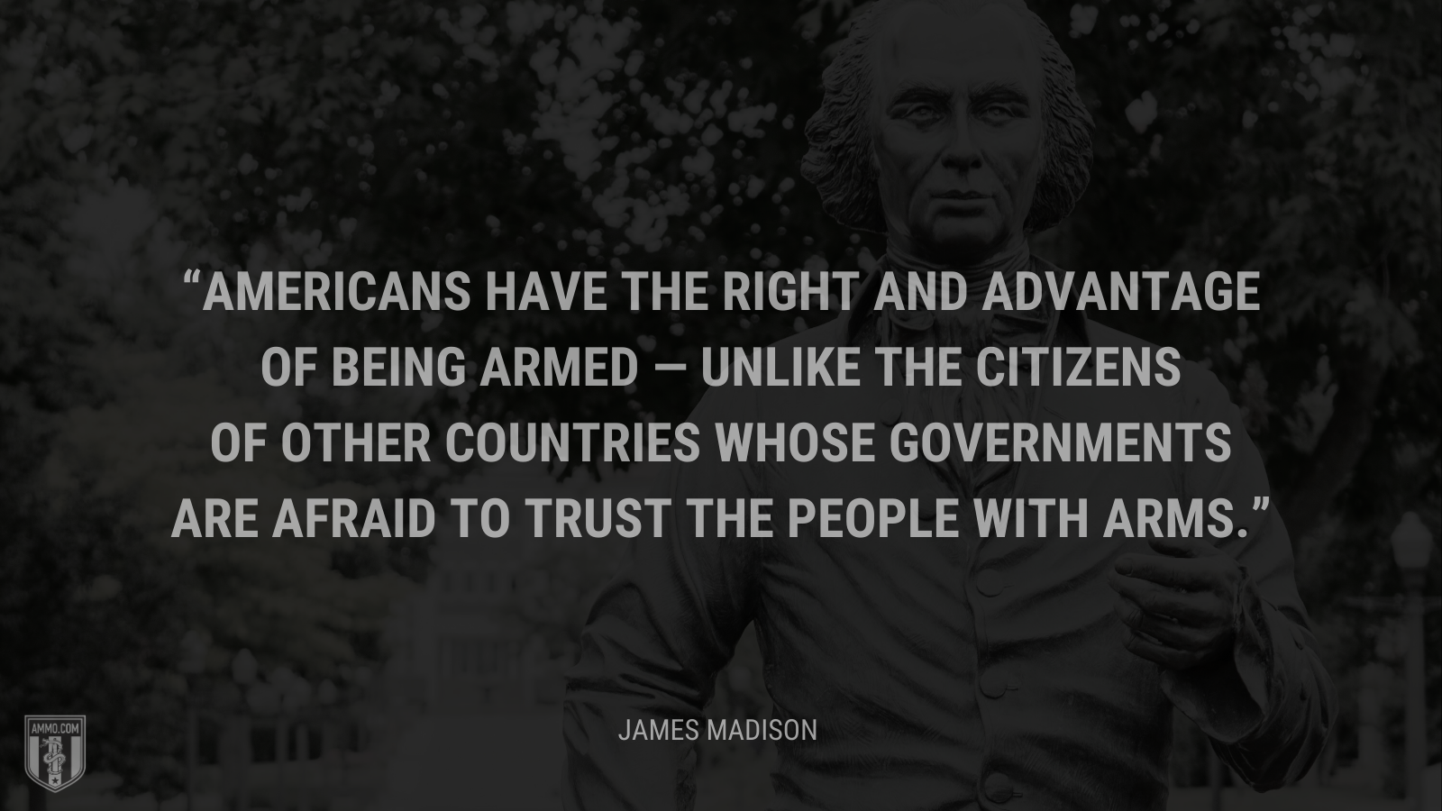 &ldquo;Americans have the right and advantage of being armed ― unlike the citizens of other countries whose governments are afraid to trust the people with arms.&rdquo; - James Madison