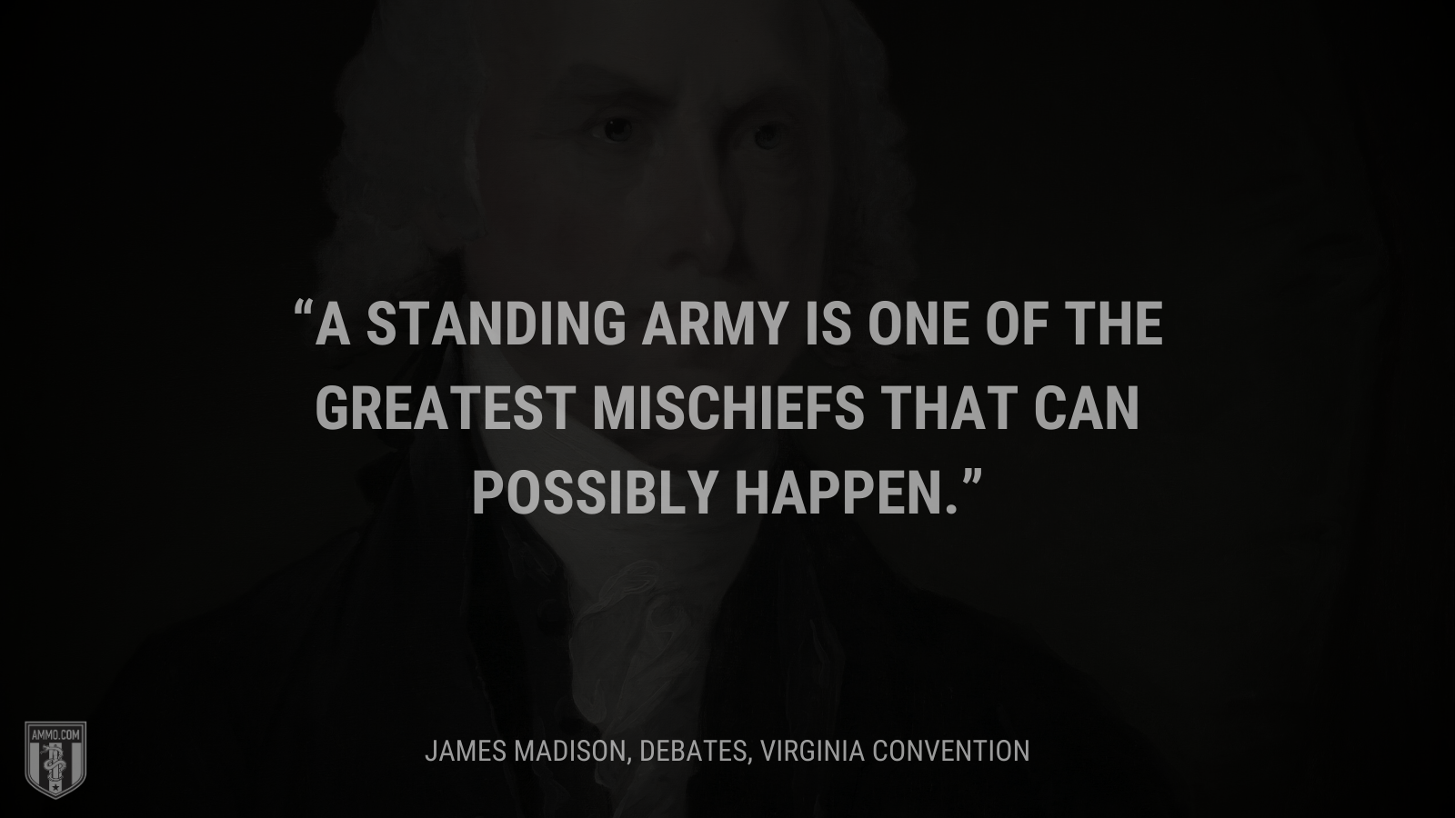 &ldquo;A standing army is one of the greatest mischiefs that can possibly happen.&rdquo; - James Madison