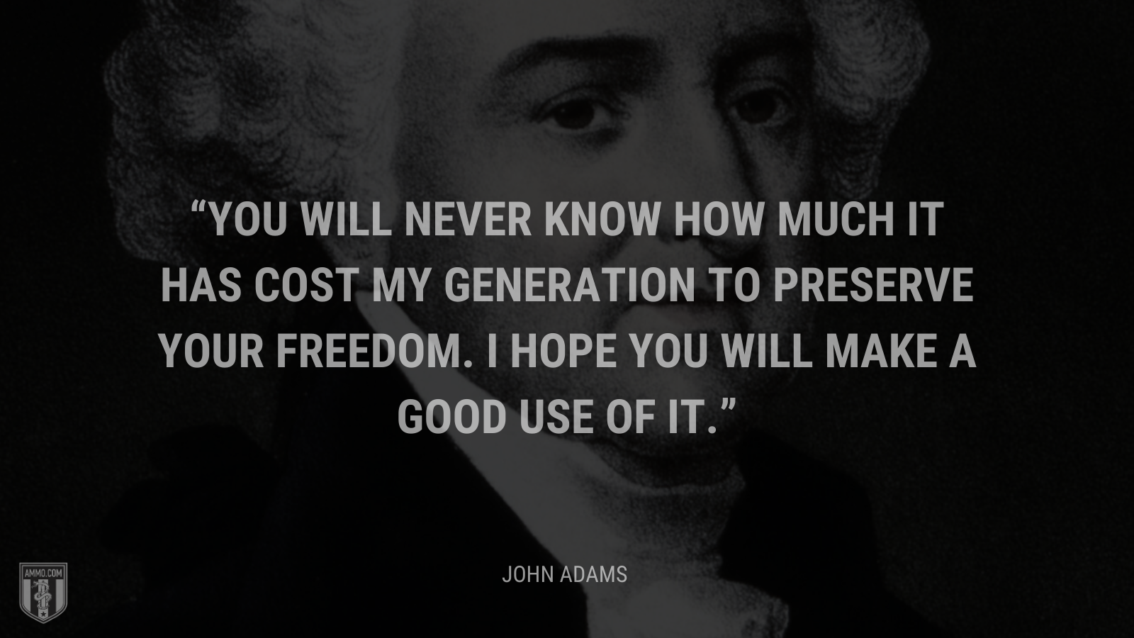 &ldquo;You will never know how much it has cost my generation to preserve YOUR freedom. I hope you will make a good use of it.&rdquo; - John Adams