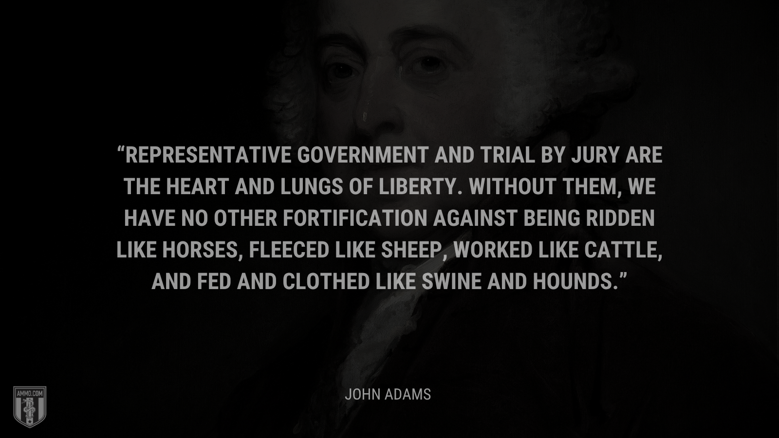 &ldquo;Representative government and trial by jury are the heart and lungs of liberty. Without them, we have no other fortification against being ridden like horses, fleeced like sheep, worked like cattle, and fed and clothed like swine and hounds.&rdquo; - John Adams