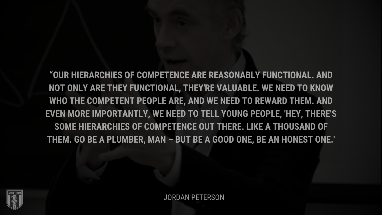 &ldquo;Our hierarchies of competence are reasonably functional. And not only are they functional, they're valuable. We need to know who the competent people are, and we need to reward them. And even more importantly, we need to tell young people, 'Hey, there's some hierarchies of competence out there. Like a thousand of them. Go be a plumber, man – but be a good one, be an honest one.&rdquo; - Jordan Peterson