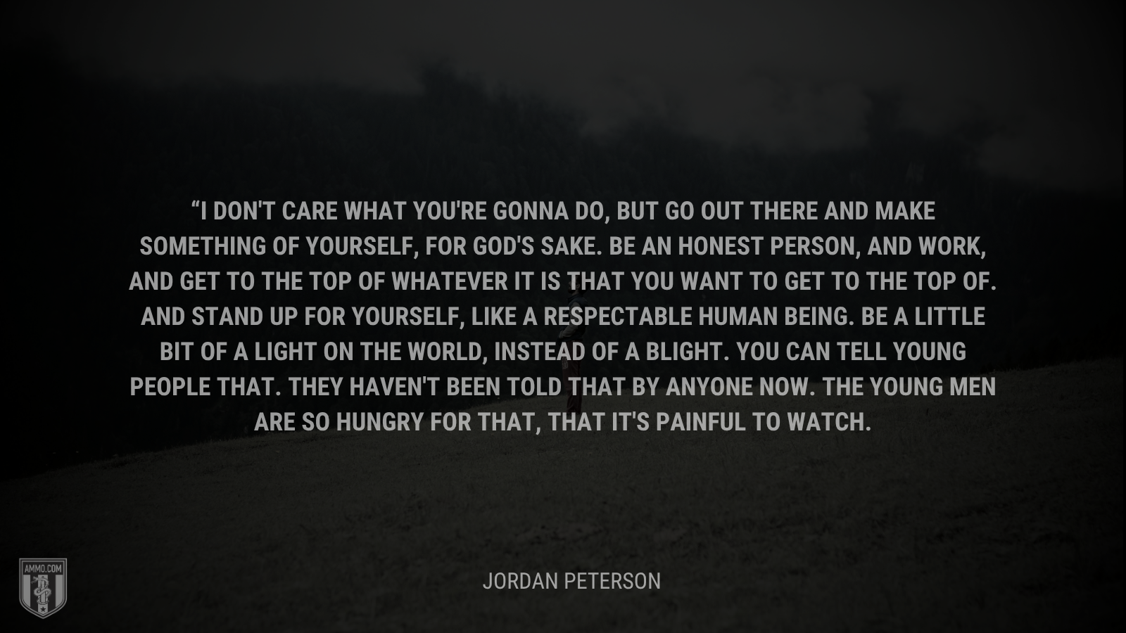 &ldquo;I don't care what you're gonna do, but go out there and make something of yourself, for God's sake. Be an honest person, and work, and get to the top of whatever it is that you want to get to the top of. And stand up for yourself, like a respectable human being. Be a little bit of a light on the world, instead of a blight. You can tell young people that. They haven't been told that by anyone now. The young men are so hungry for that, that it's painful to watch.&rdquo; - Jordan Peterson