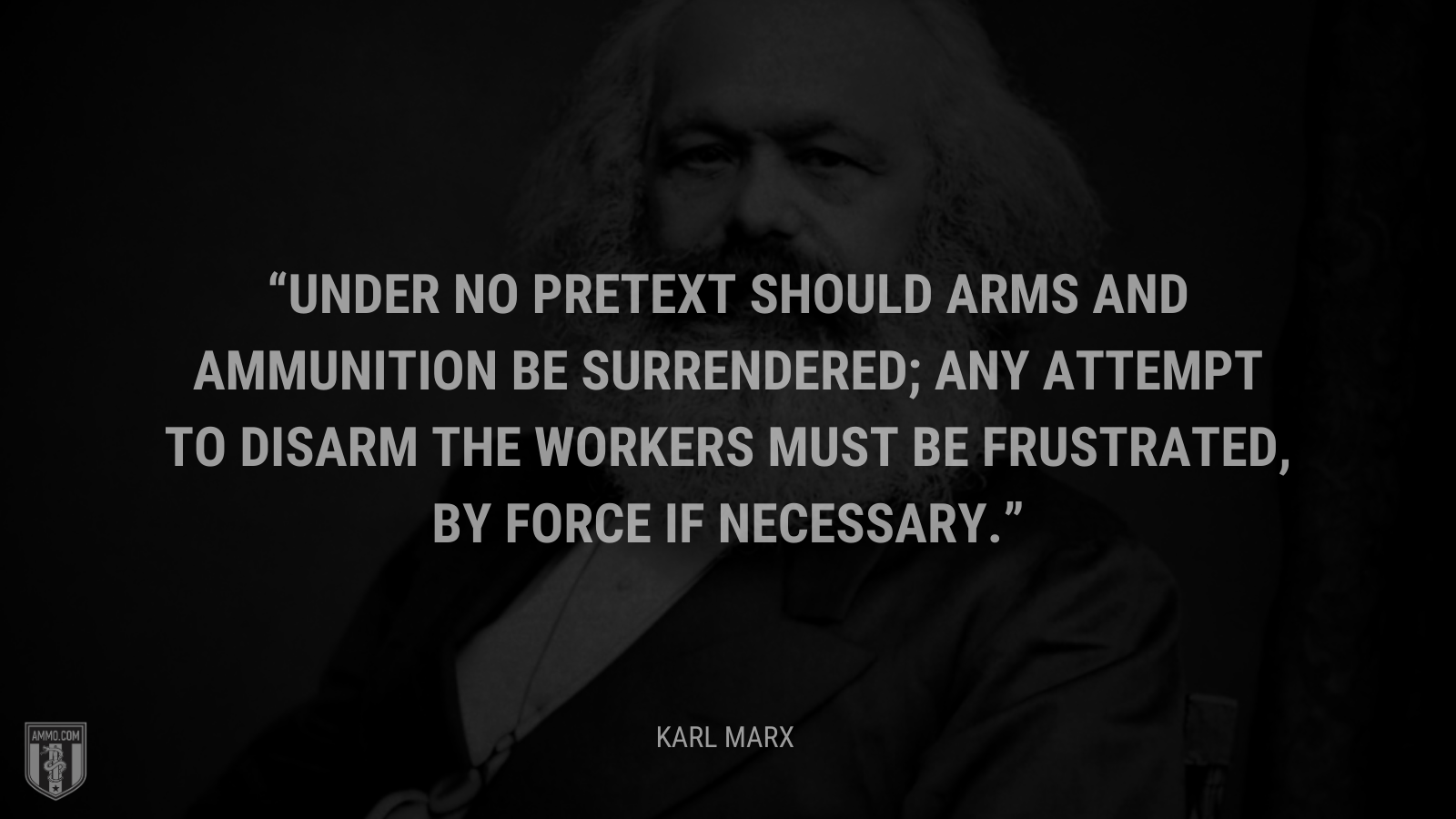 &ldquo;Under no pretext should arms and ammunition be surrendered; any attempt to disarm the workers must be frustrated, by force if necessary.&rdquo; - Karl Marx