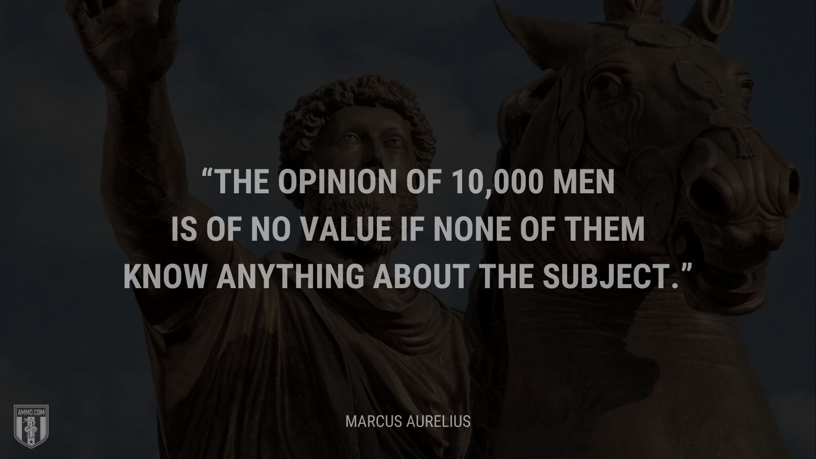 &ldquo;The opinion of 10,000 men is of no value if none of them know anything about the subject.&rdquo; - Marcus Aurelius