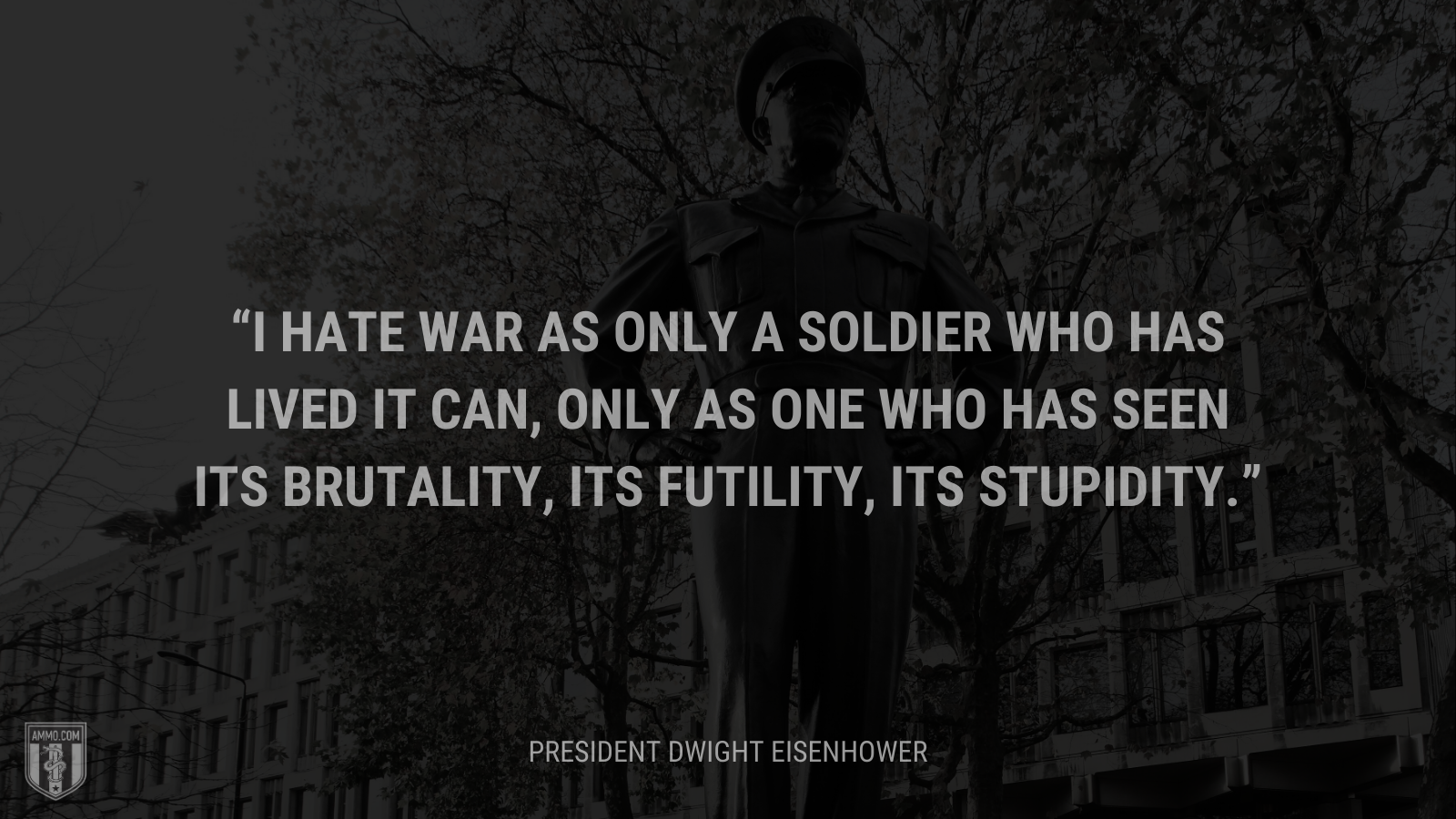 &ldquo;I hate war as only a soldier who has lived it can, only as one who has seen its brutality, its futility, its stupidity.&rdquo; - Dwight Eisenhower