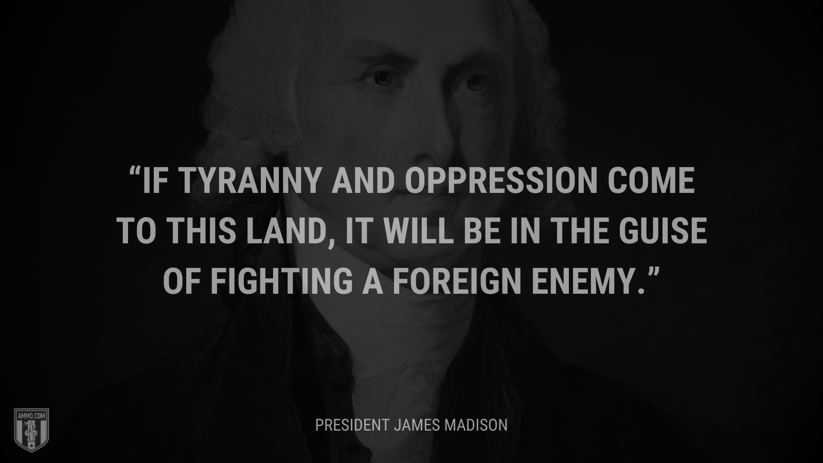&ldquo;If Tyranny and Oppression come to this land, it will be in the guise of fighting a foreign enemy.&rdquo; - President James Madison