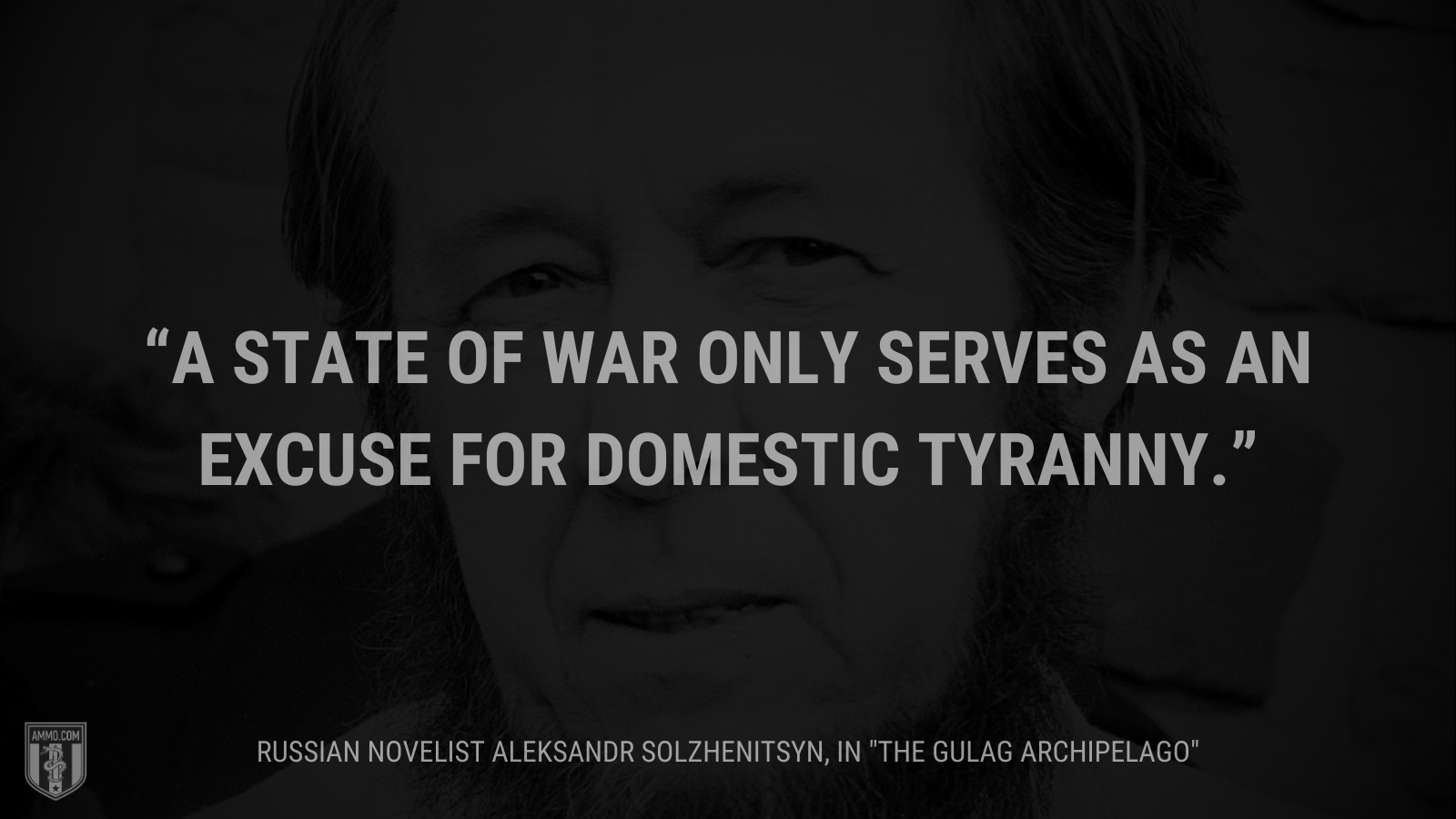 &ldquo;A state of war only serves as an excuse for domestic tyranny.&rdquo; - Aleksandr Solzhenitsyn