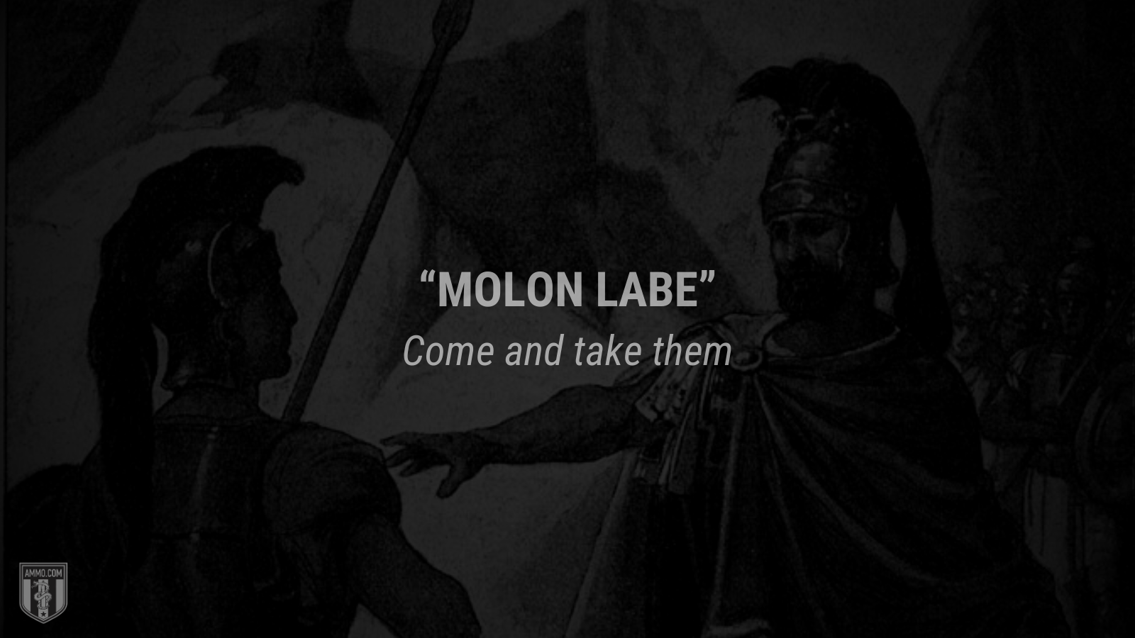 &ldquo;Molon Labe&rdquo; - Come and take them