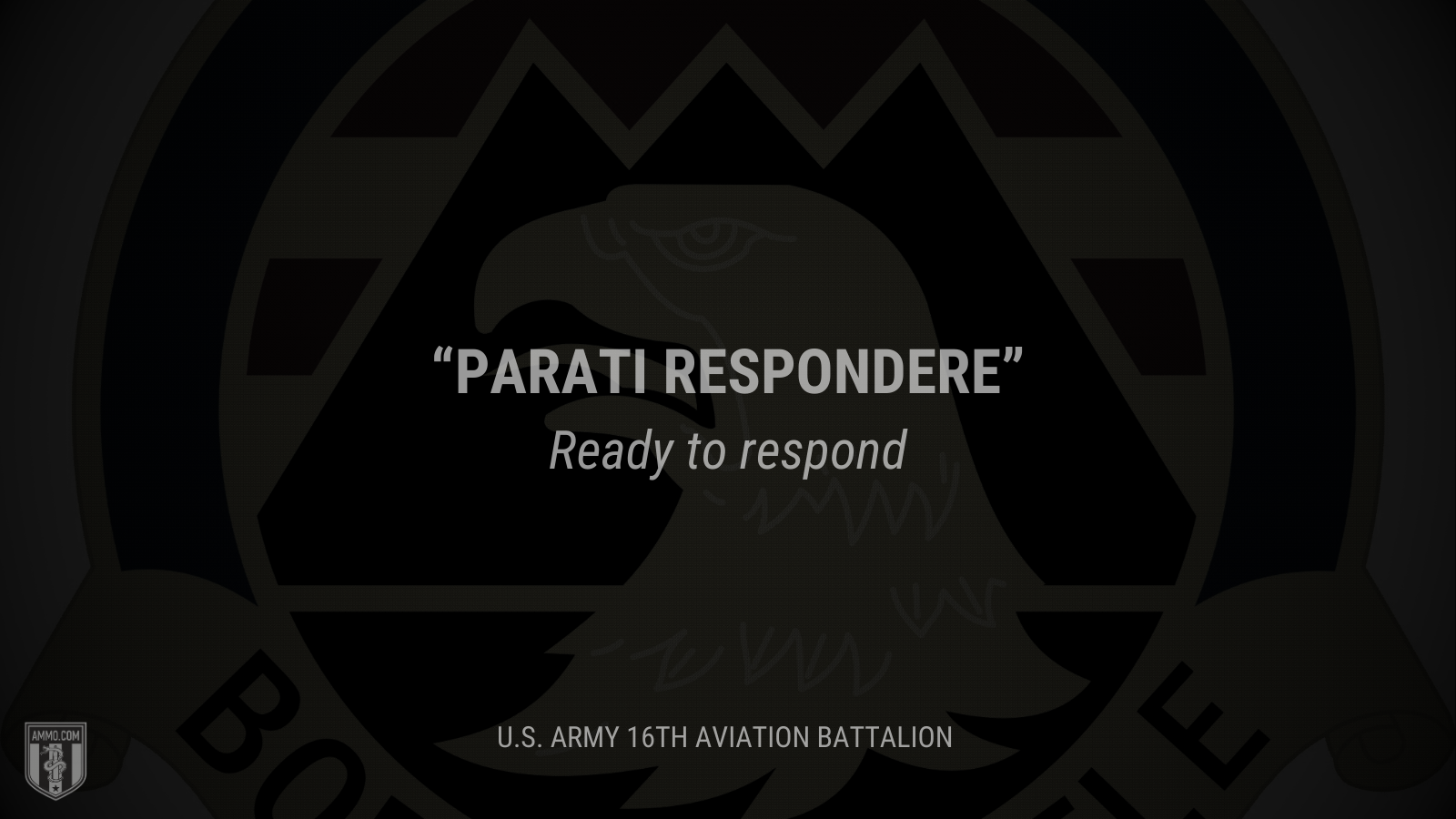 &ldquo;Parati respondere&rdquo; - Ready to respond
