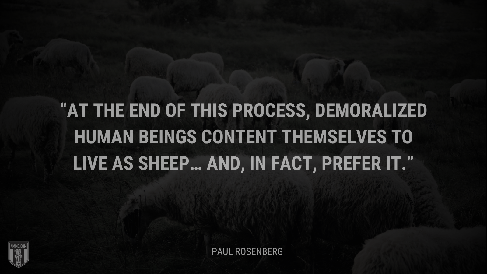 &ldquo;At the end of this process, demoralized human beings content themselves to live as sheep… and, in fact, prefer it.&rdquo; - Paul Rosenberg